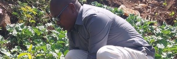AlexMogere2's profile banner image
