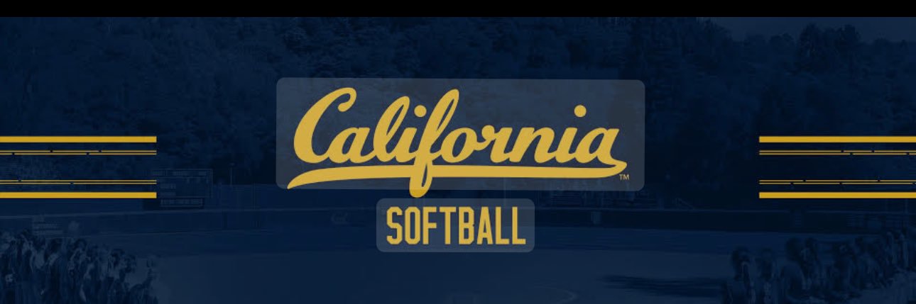 Steve Singleton banner