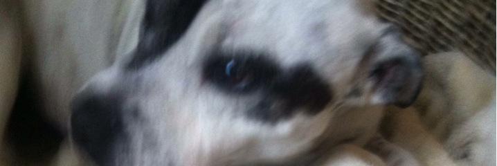 jackbazely's profile banner image