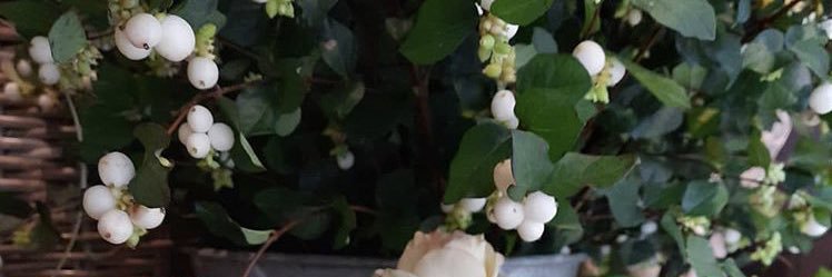 light_renjun's profile banner image