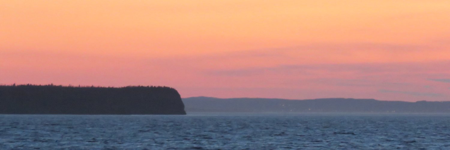 DariaEdgecombe's profile banner image