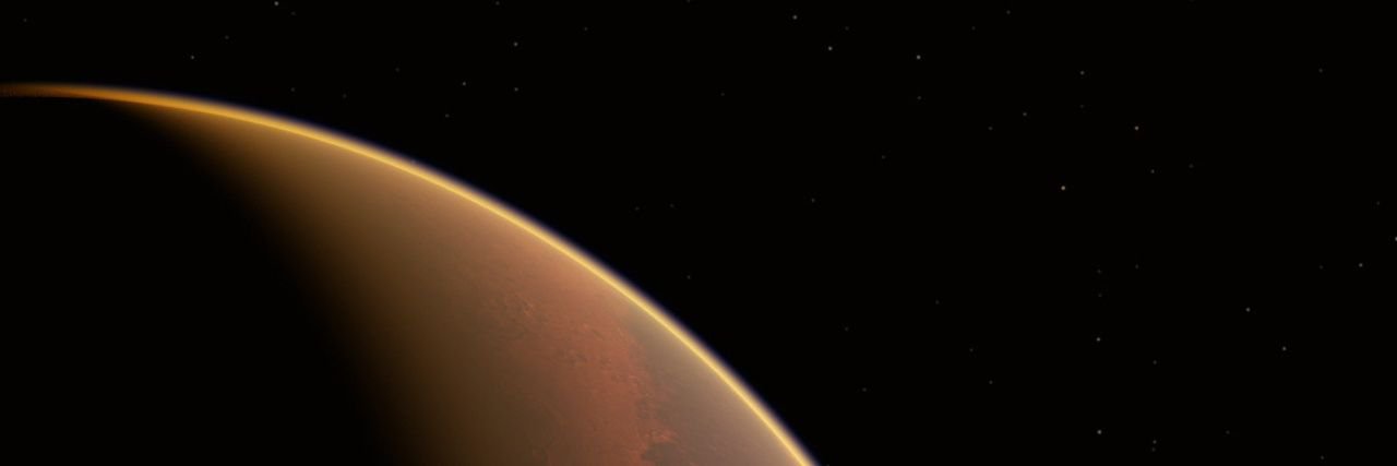 Selina_Panda's profile banner image