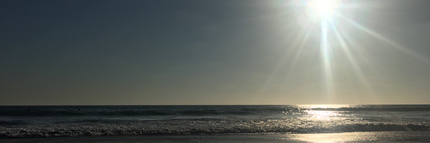 HannahFlygurr's profile banner image