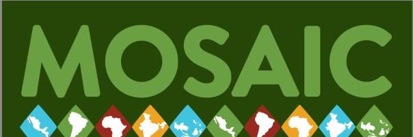 MosaicFairTrade's profile banner image