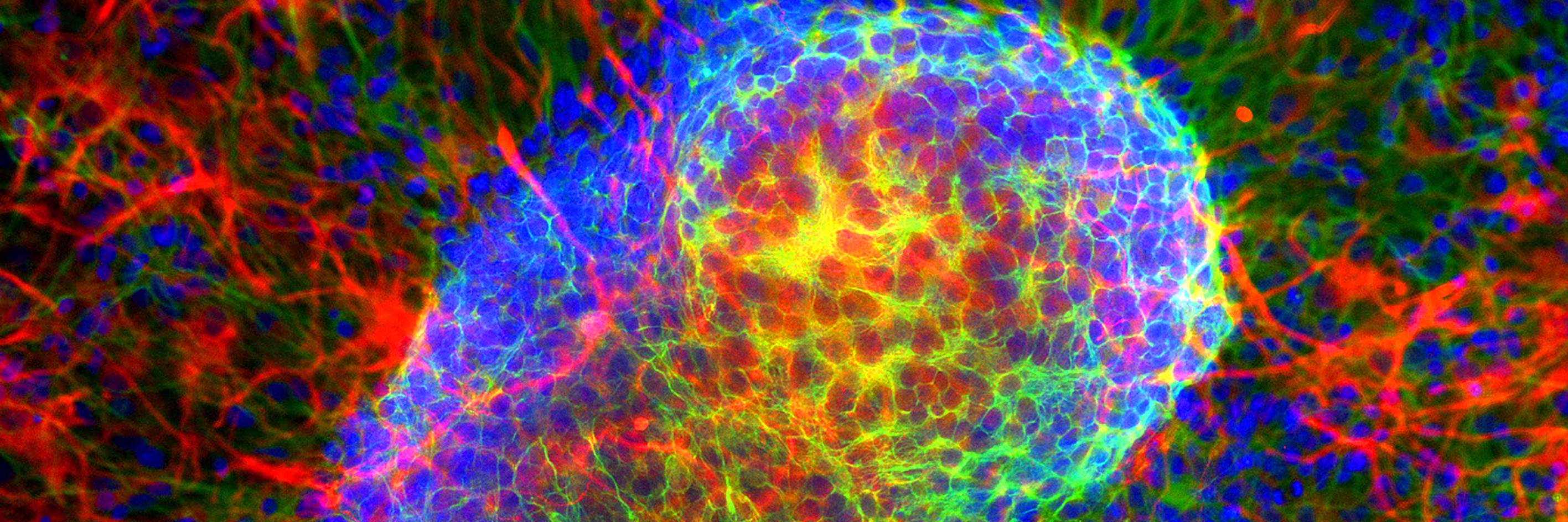 School of Pharmacy & Bioengineering Research banner