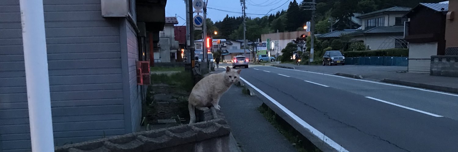 MORI from 3KW banner