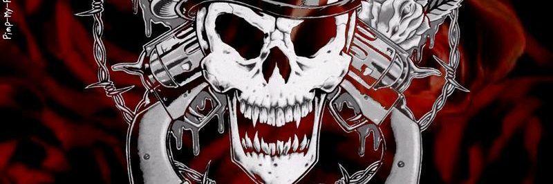 Rockin_Slash's profile banner image
