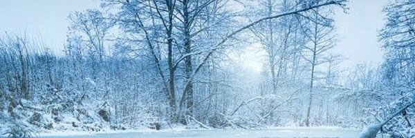 KS_JA_ Profile Banner