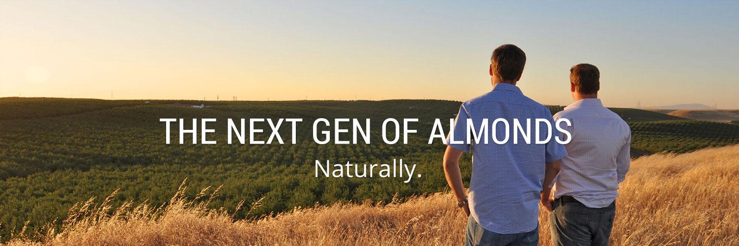 Alldrin Bros Almonds banner