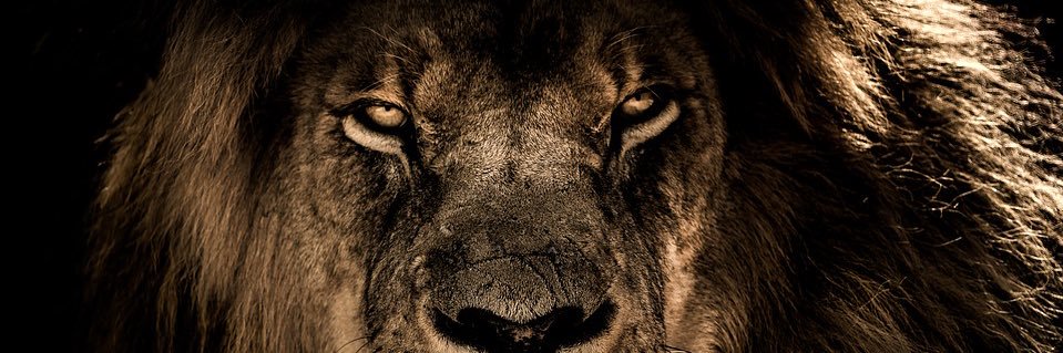 dj_v3rdgo's profile banner image