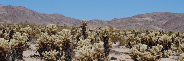 sasendner Profile Banner