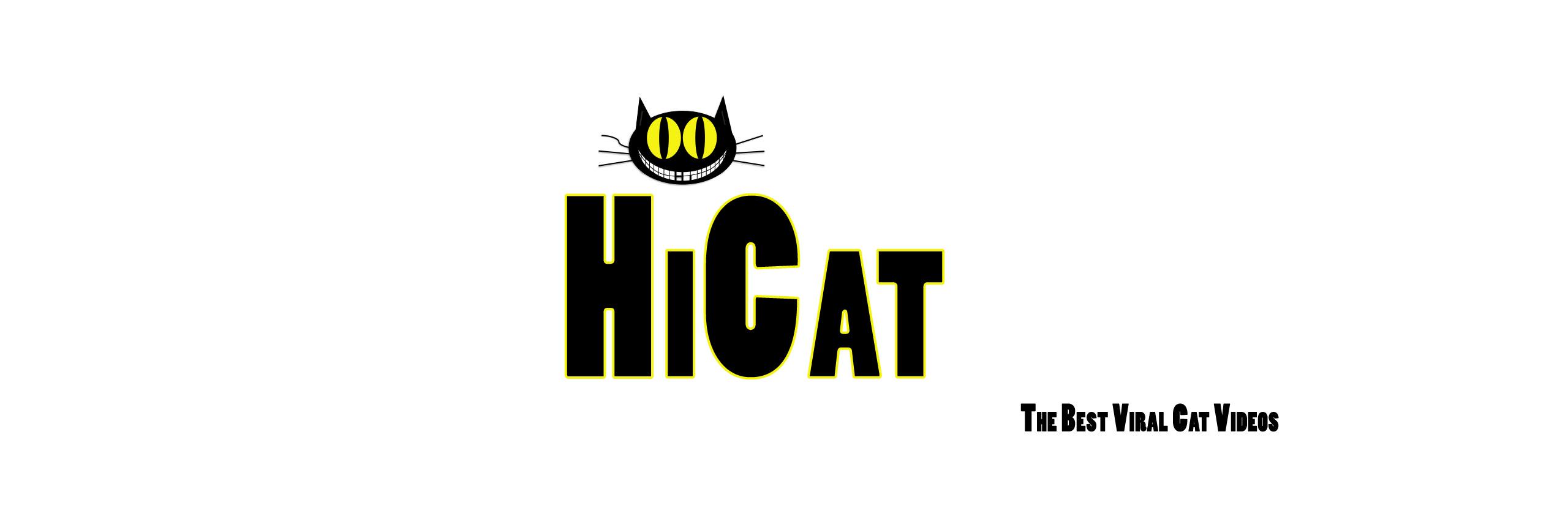 HiCatTV's profile banner image