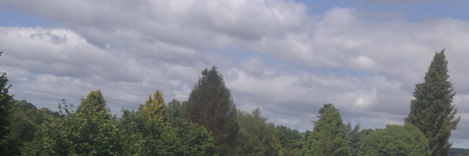 KJOrger's profile banner image