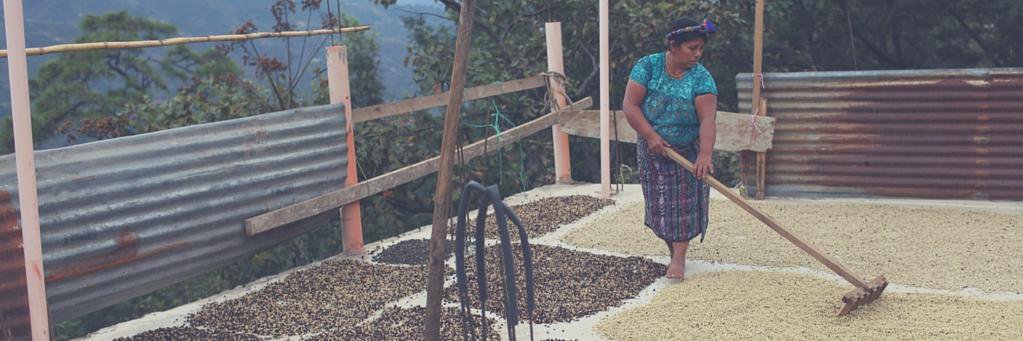 Boulder_Coffee's profile banner image