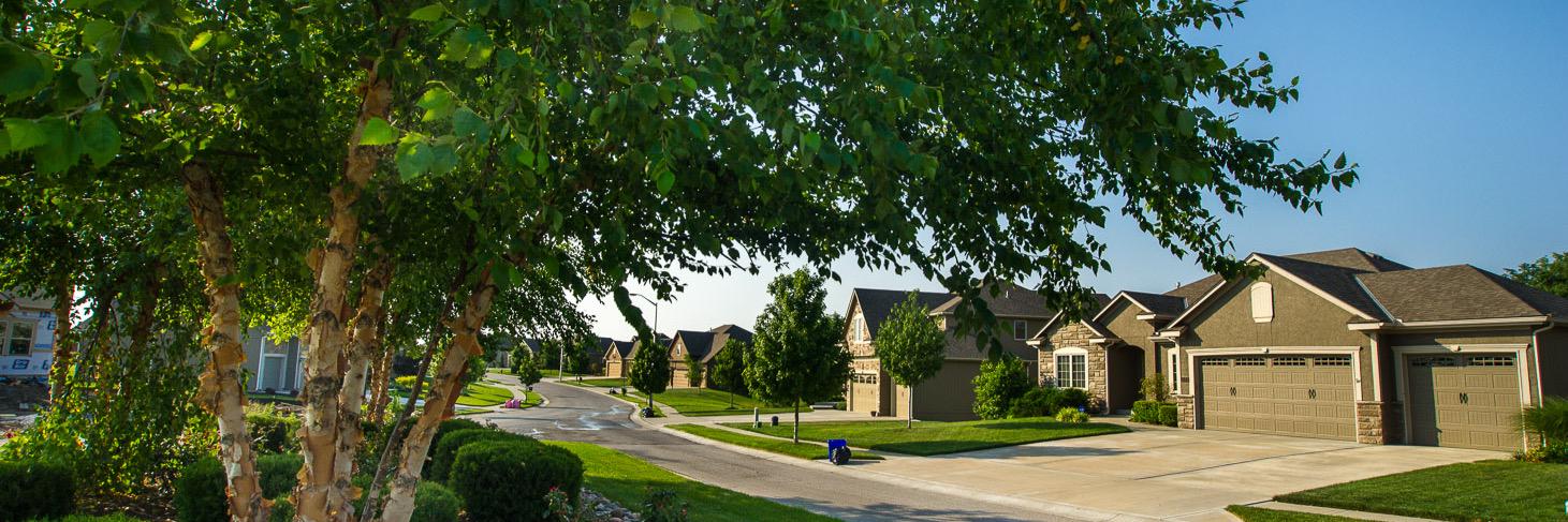 StaleyHills's profile banner image