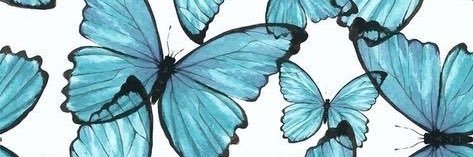 orsagh7's profile banner image