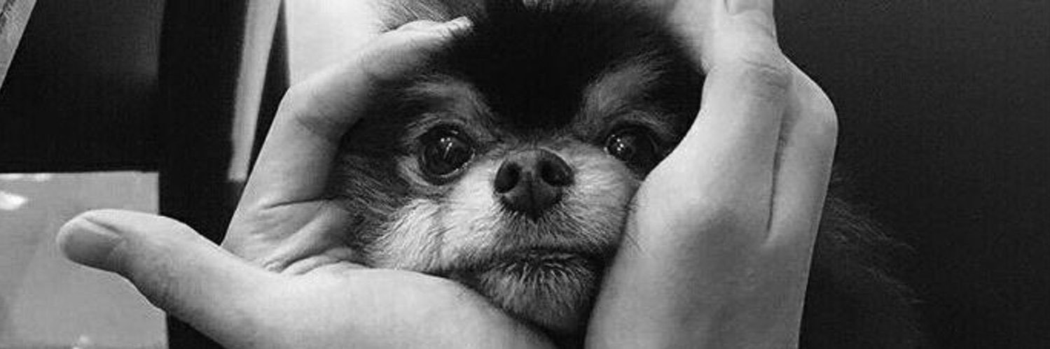 💜🤍 ౨ৎ banner