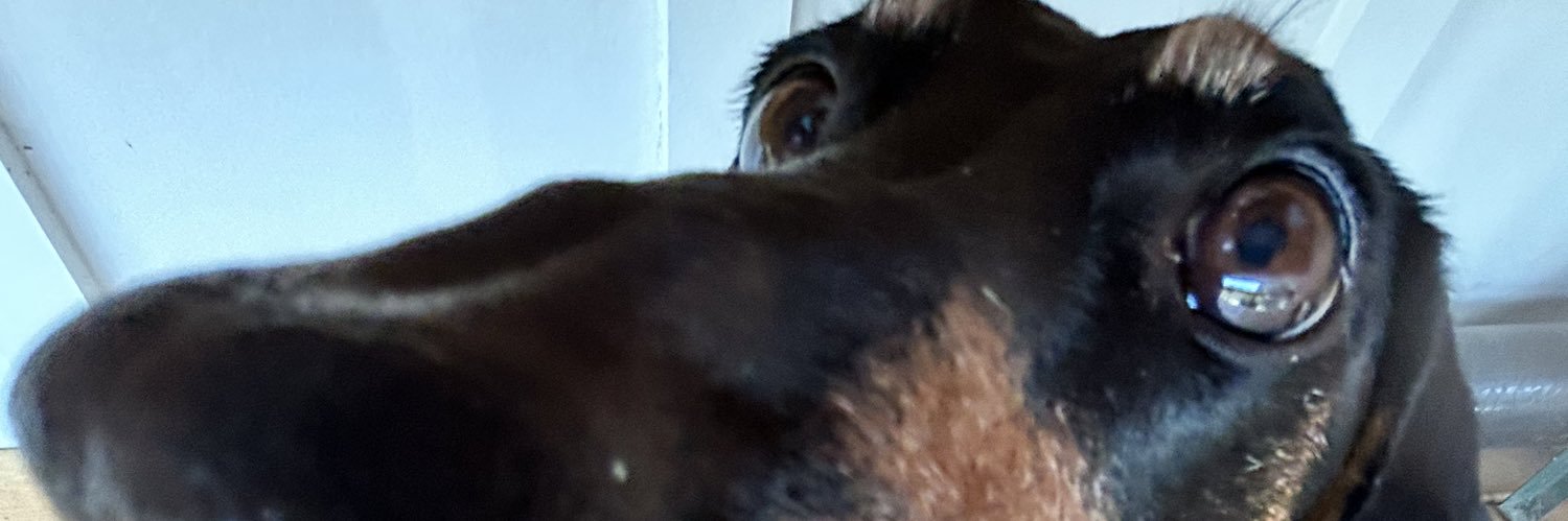 fewimportance's profile banner image