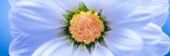 A–𝕏 (Full twist 😜) banner