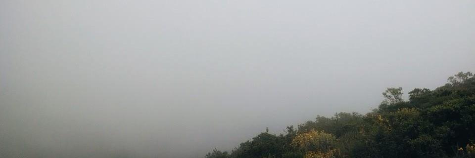 d8n7's profile banner image