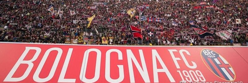 MariaDaGui31z7's profile banner image