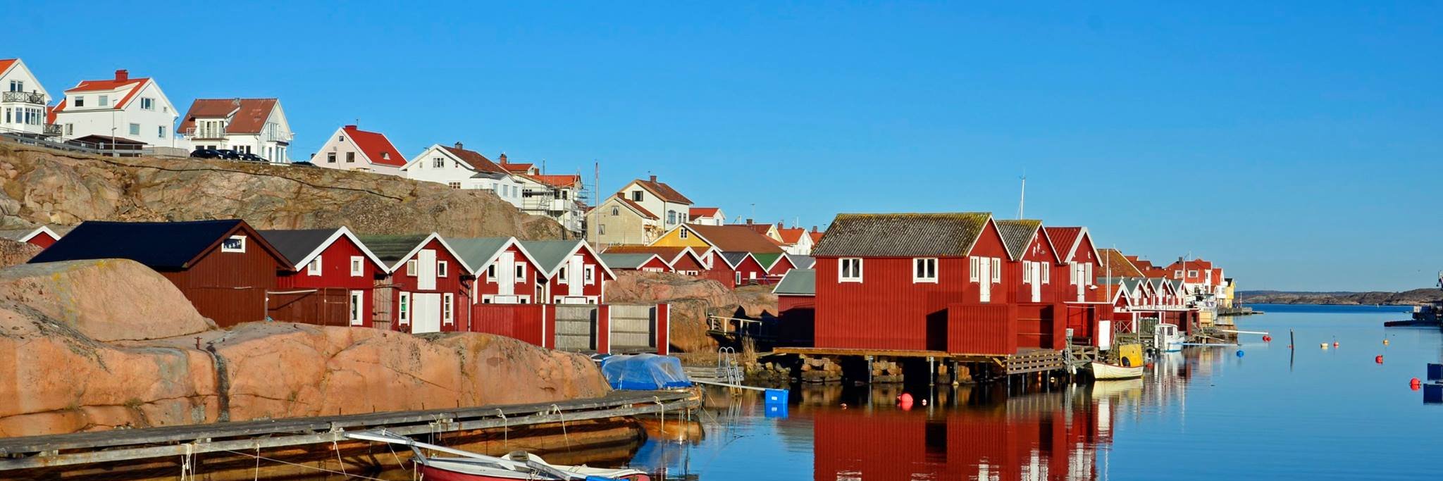 Dr. Stephanie C. Winkler banner