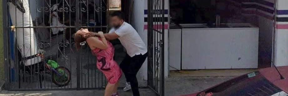 Shamala Hairless banner