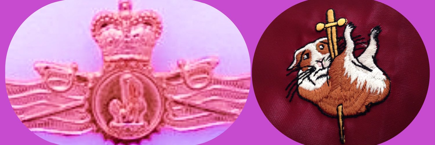 engspice's profile banner image
