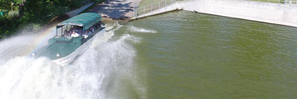 WisDucks Profile Banner