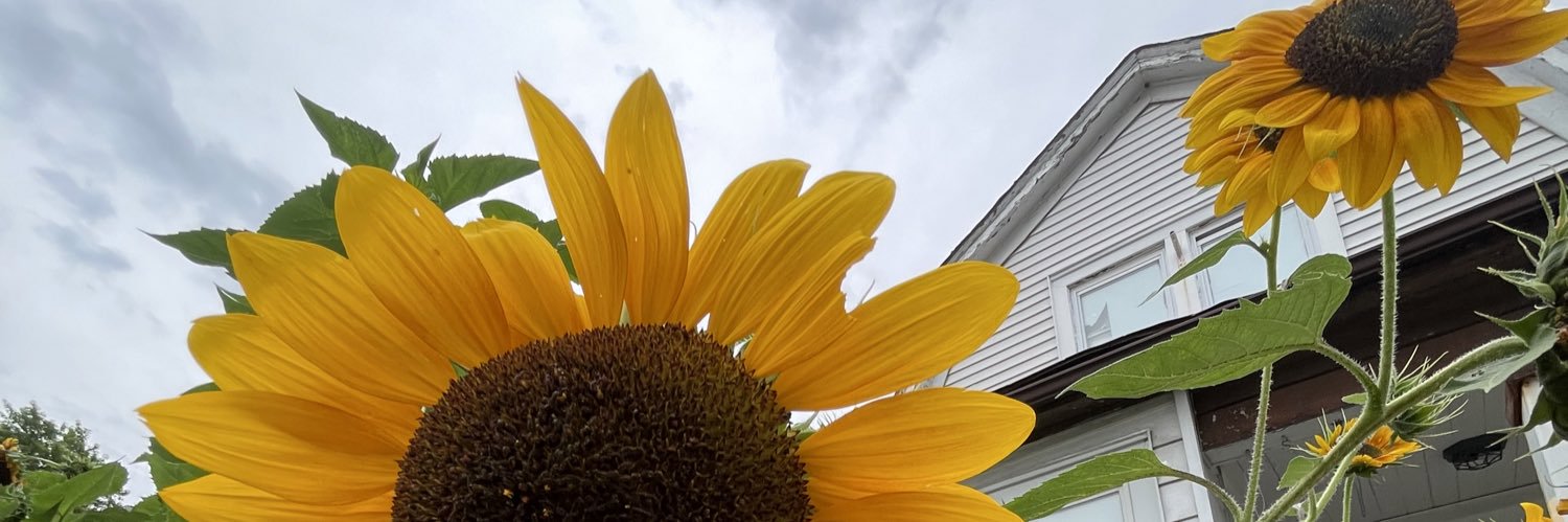 SunnyBeatx's profile banner image