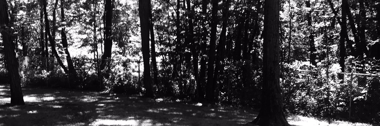 RangerJ33's profile banner image