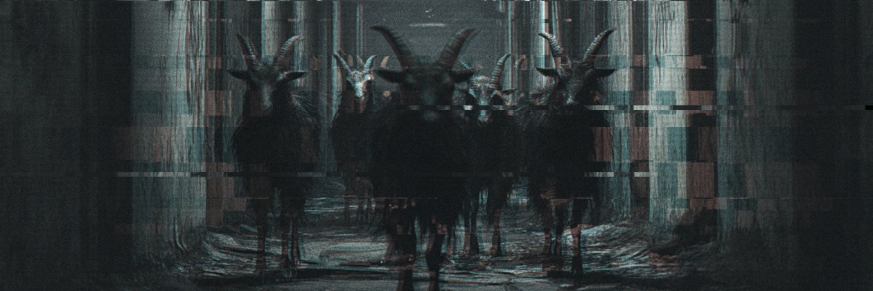StrayKat73's profile banner image