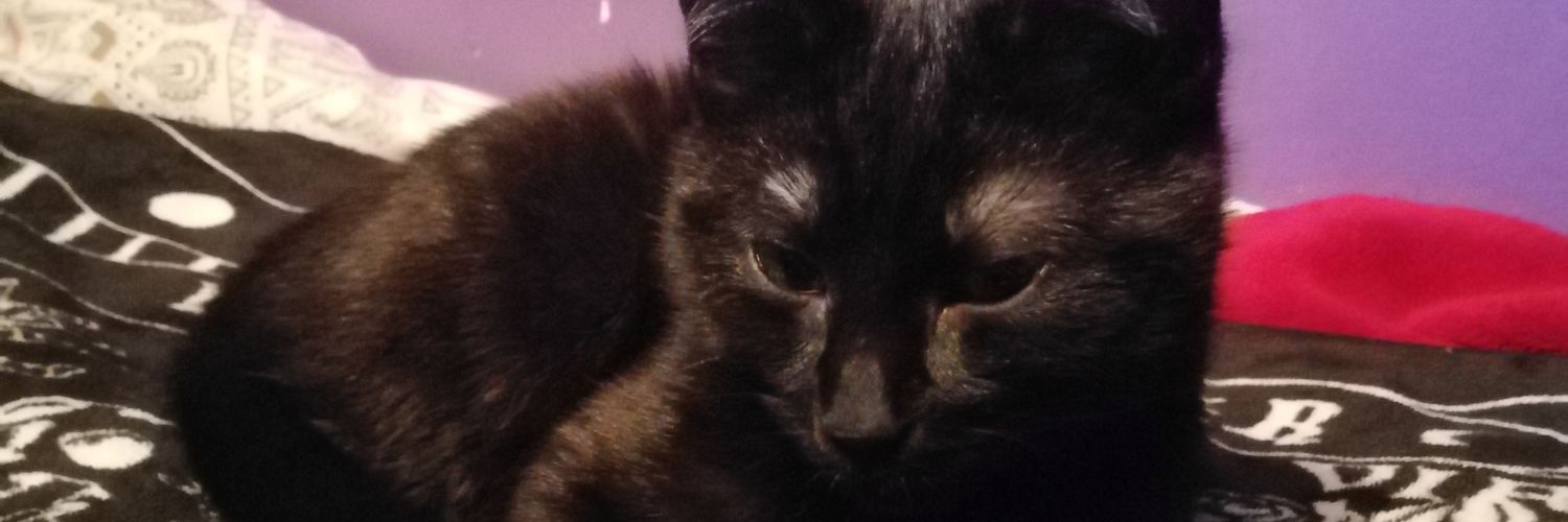 EmKealey92's profile banner image