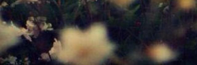 ShirreeWebb's profile banner image