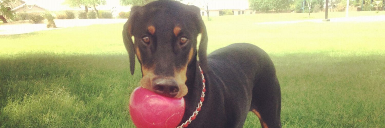 Christina Koch banner