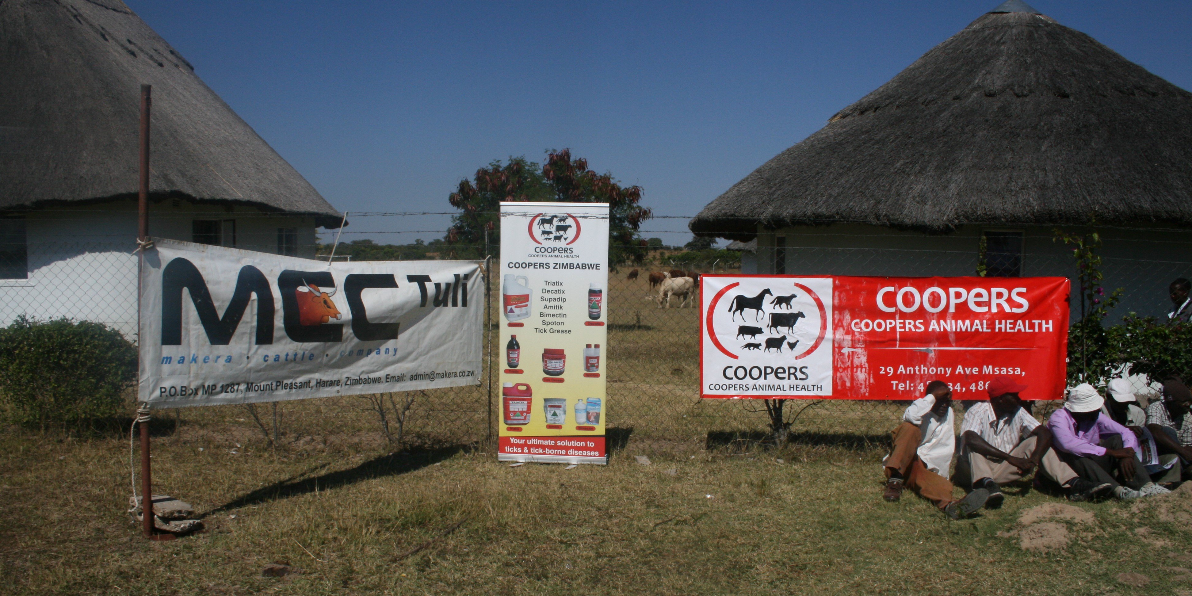 Makera Cattle Co. banner