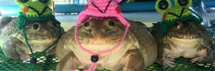 Kenzie | OF Creator banner