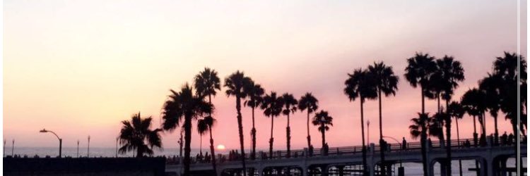 dazedleslie's profile banner image