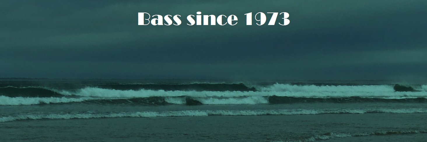 saveourseabass banner