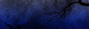 Alicia banner