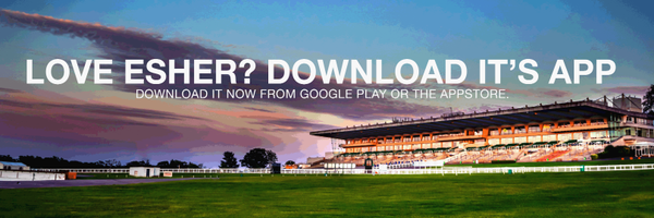 Esherguide Profile Banner