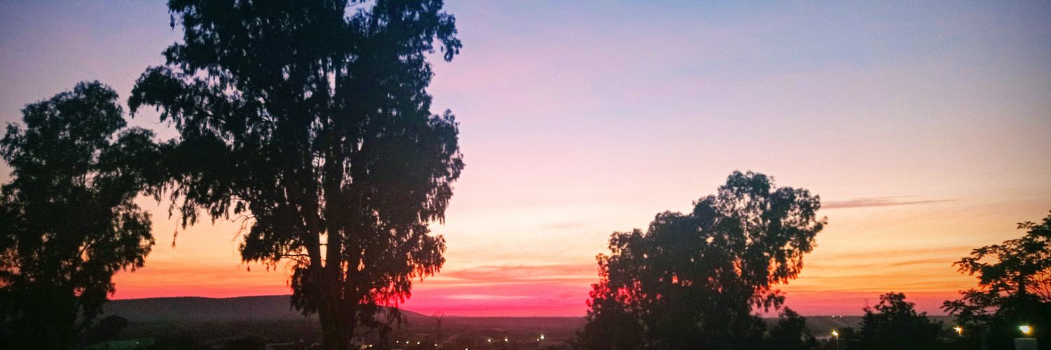 luisaespinosafi's profile banner image