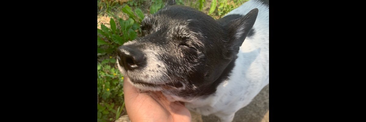 DeuceeReed's profile banner image