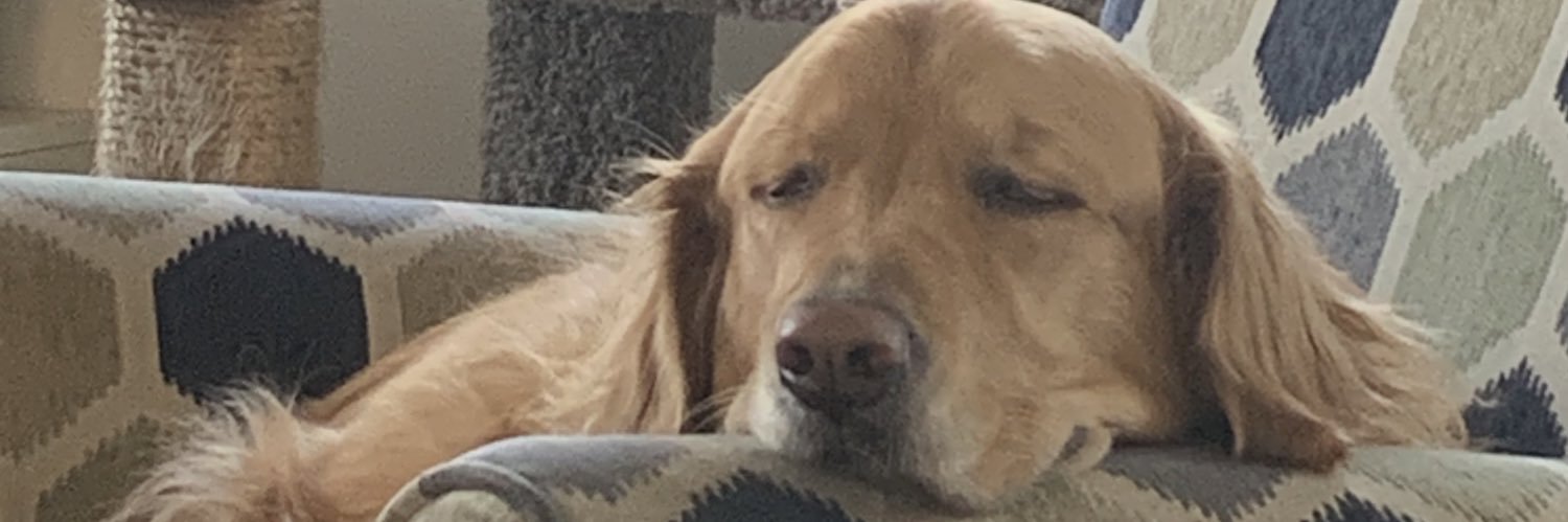 AndrewStubie's profile banner image
