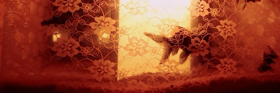mqqs84's profile banner image