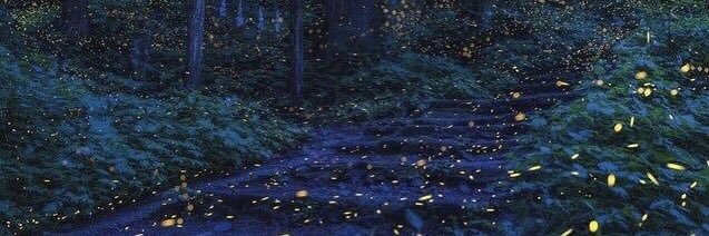 alli_stairs's profile banner image