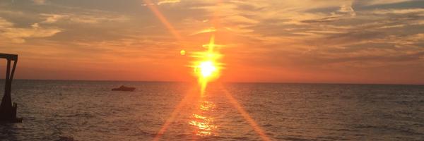 MrsBossHM Profile Banner