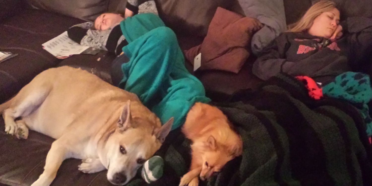 teddymerlyn's profile banner image