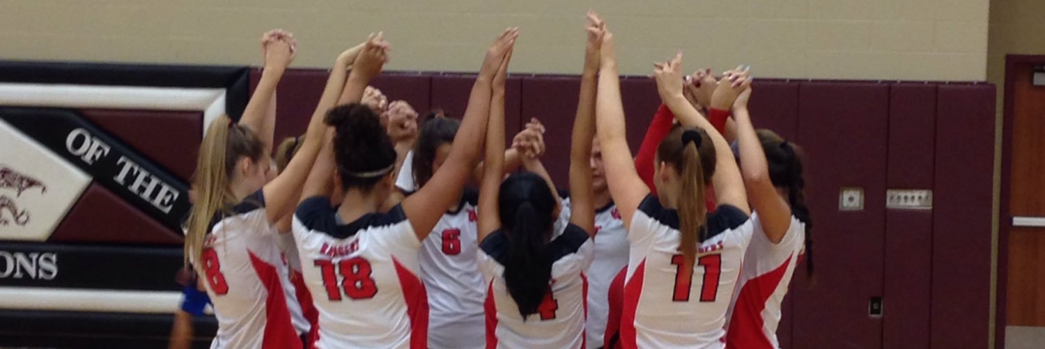 VR_Volleyball's profile banner image