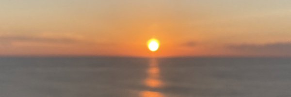 trelishis Profile Banner